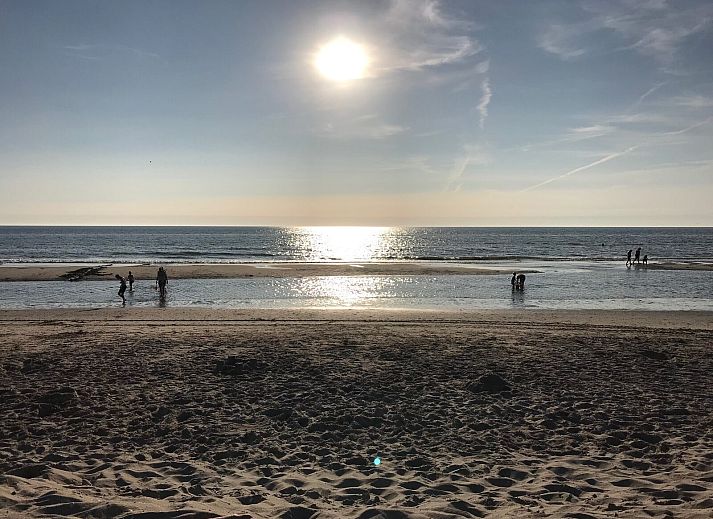 Unterkunft 450669 - Ferienhaus Noordzeekust - Duinland 190