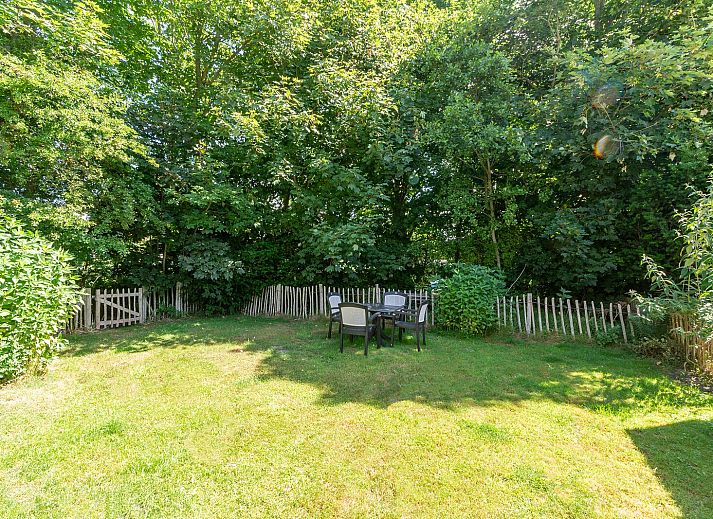 Unterkunft 450682 - Ferienhaus Noordzeekust - Duinland 186