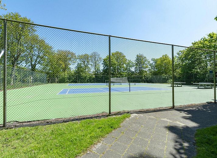 Unterkunft 450683 - Ferienhaus Noordzeekust - Duinland 245