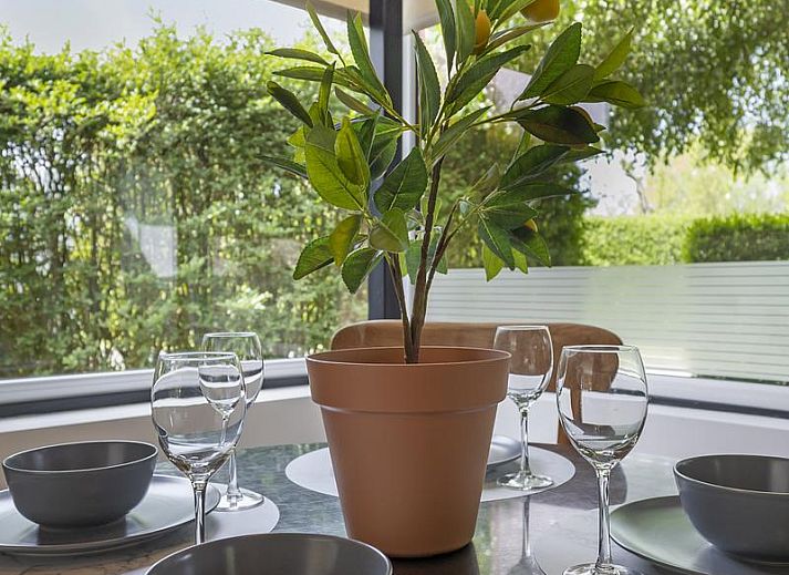 Verblijf 450693 - Vakantiewoning Noordzeekust - Duinland 15