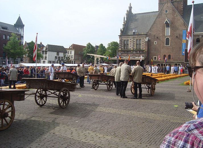 Verblijf 450706 - Appartement Noordzeekust - Appartement mit Terrasse