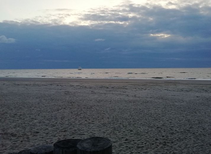 Verblijf 450706 - Appartement Noordzeekust - Appartement mit Terrasse