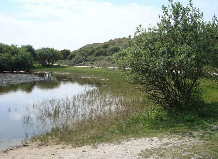 Verblijf 450706 - Appartement Noordzeekust - Appartement mit Terrasse