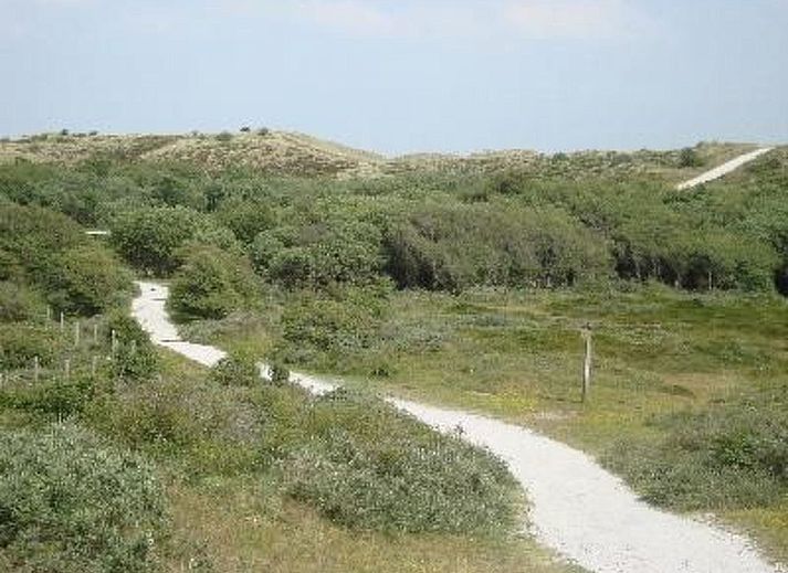 Verblijf 450706 - Appartement Noordzeekust - Appartement mit Terrasse