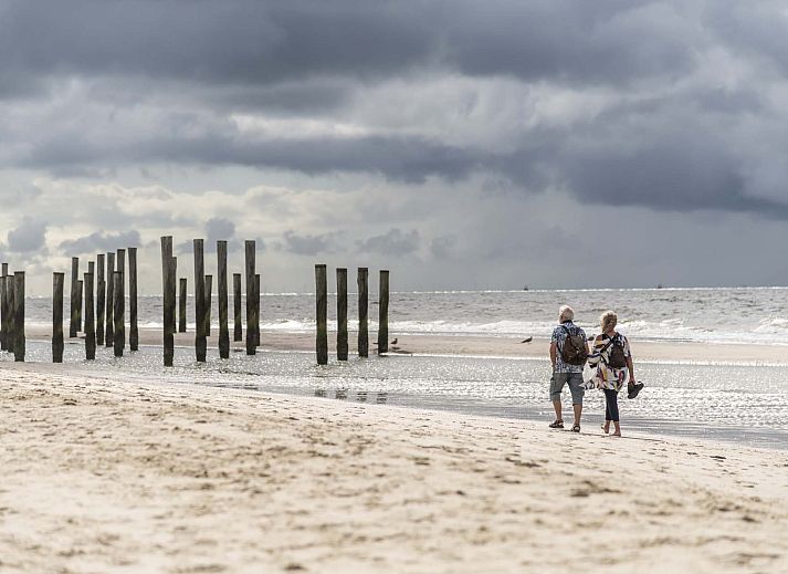 Aerial view of the surroundings of the detached house in Petten on the North Sea coast.