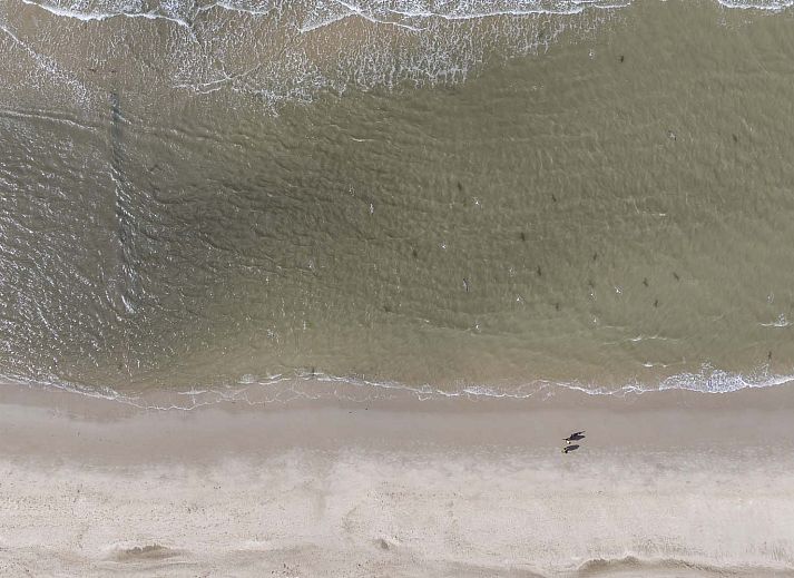 Aerial view of the surroundings of the detached house in Petten on the North Sea coast.