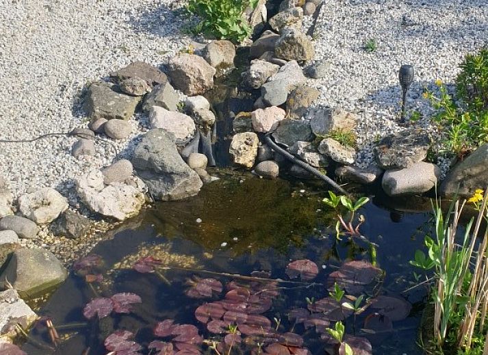 Guest house 451034 - Apartment Noordzeekust - JC. Butselaar