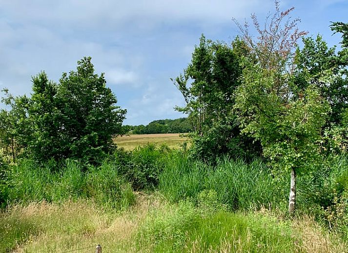 Ferienhaus in Egmond-Binnen, Ferienhaus an der Nordseekueste in Nordholland mit grossem Garten und Terrasse fuer einen entspannten Aufenthalt.