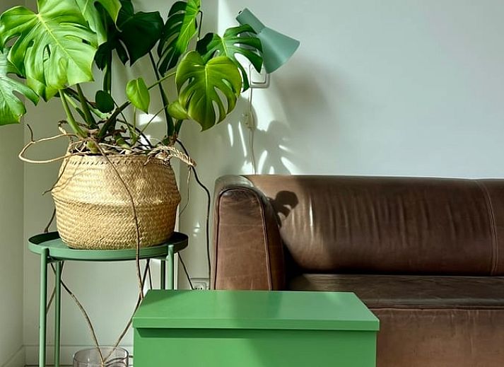 Erholsame Aussicht auf die gruene Natur vom Haus in Egmond-Binnen, einem Ferienhaus an der Nordseekueste in Nordholland.