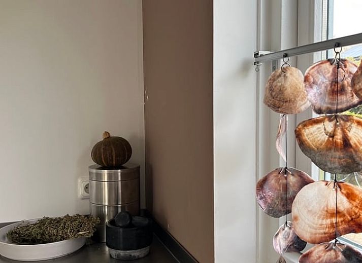 Geniessen Sie die Ruhe und den Frieden in einem Haus in Egmond-Binnen mit einem Holz-Whirlpool, umgeben von gruener Natur an der Nordseekueste in Nordholland.