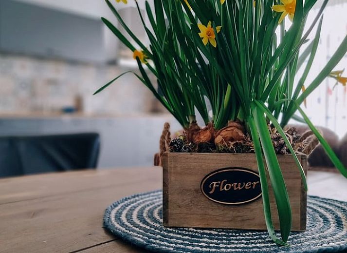 Unterkunft 451112 - Ferienhaus Noordzeekust - Huisje in Egmond-Binnen