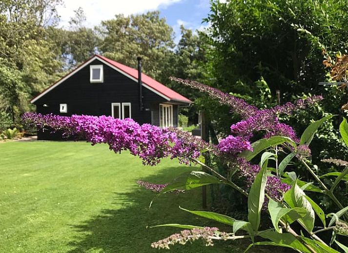 Guest house 451207 • Holiday property Noordzeekust • Vakantiehuis in Egmond aan den Hoef 