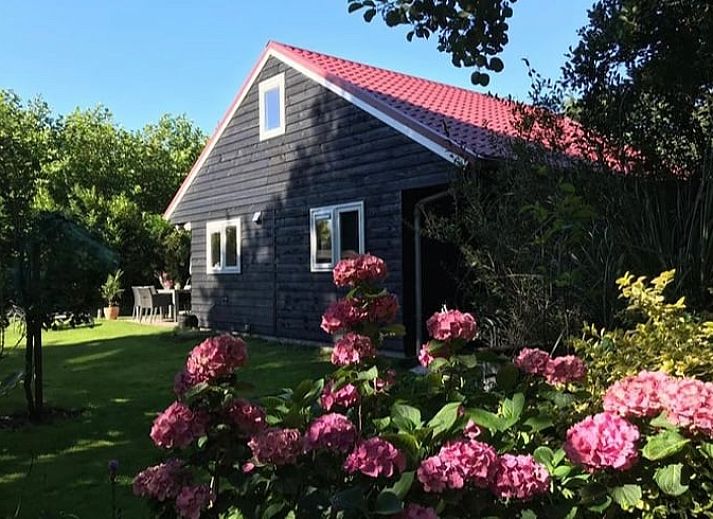 Vakantiehuis in Egmond aan den Hoef met kleurrijke bloemen in de tuin, Noordzeekust, Noord-Holland.