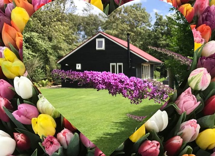 Rustige tuin bij Vakantiehuis in Egmond aan den Hoef, omgeven door natuur, Noordzeekust, Noord-Holland.