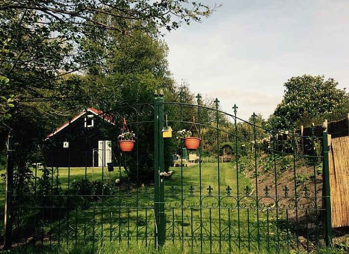 Gezellige buitenruimte van Vakantiehuis in Egmond aan den Hoef, omgeven door hortensia's, Noordzeekust, Noord-Holland.