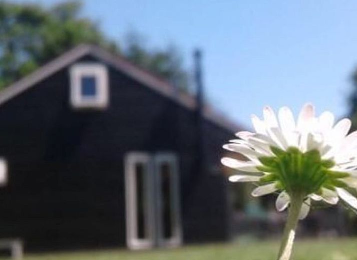 Speeltuin voor kinderen bij Vakantiehuis in Egmond aan den Hoef, Noordzeekust, Noord-Holland.