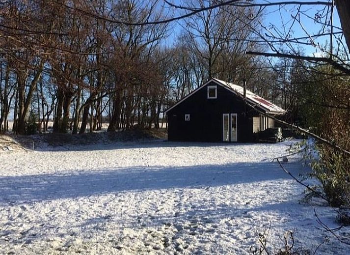 Stijlvolle tuinmeubelen bij Vakantiehuis in Egmond aan den Hoef, perfect voor ontspanning, Noordzeekust, Noord-Holland.