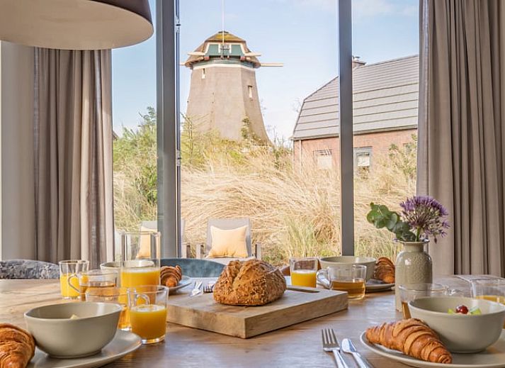 Gezellig terras bij Huisje in Egmond aan den Hoef met uitzicht op een molen, Noordzeekust, Noord-Holland.