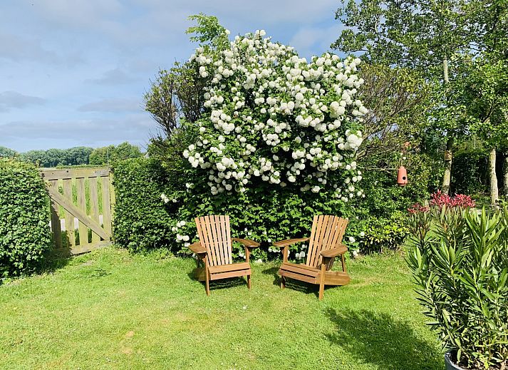 Verblijf 451220 - Vakantiewoning Noordzeekust - NH503