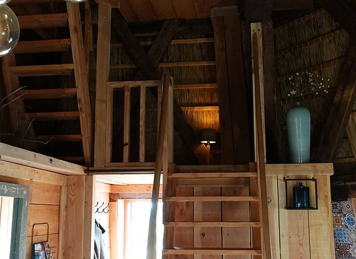 Gemuetliches Wohnzimmer im Ferienhaus in Egmond aan den Hoef, Nordseekueste, Nordholland.