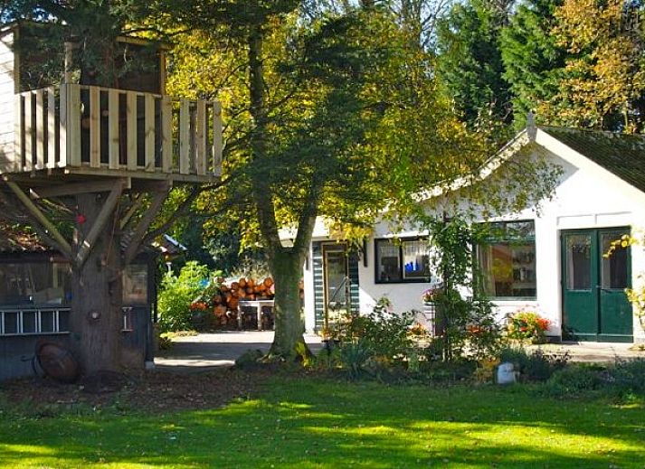 Unterkunft 451232 - Ferienhaus Noordzeekust - Duinroos Cottage