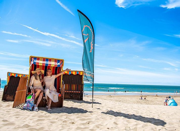 Unterkunft 451259 - Ferienhaus Noordzeekust - EuroParcs De Woudhoeve