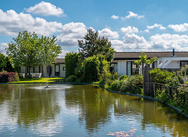 Unterkunft 451259 - Ferienhaus Noordzeekust - EuroParcs De Woudhoeve