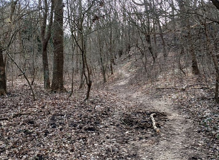 Unterkunft 451260 - Ferienhaus Noordzeekust - NH642