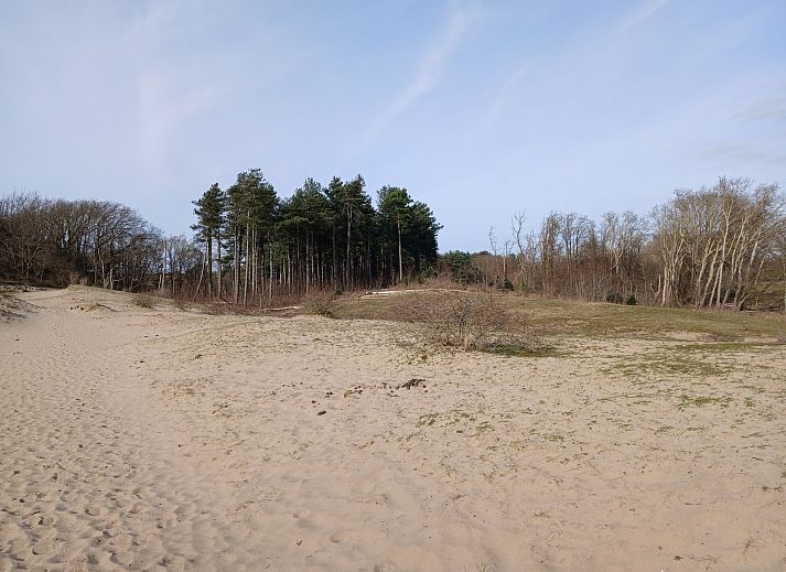 Unterkunft 451260 - Ferienhaus Noordzeekust - NH642