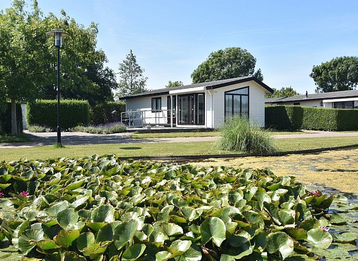 Unterkunft 451279 • Chalet Noordzeekust • Recreatiepark De Woudhoeve 1