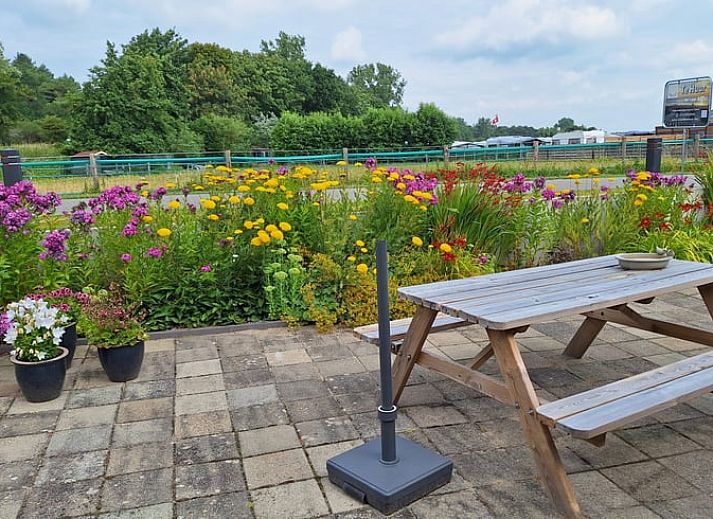 Vakantiehuisje in Egmond aan den Hoef met ruime patio en kleurrijke bloemen aan de Noordzeekust, Noord-Holland.