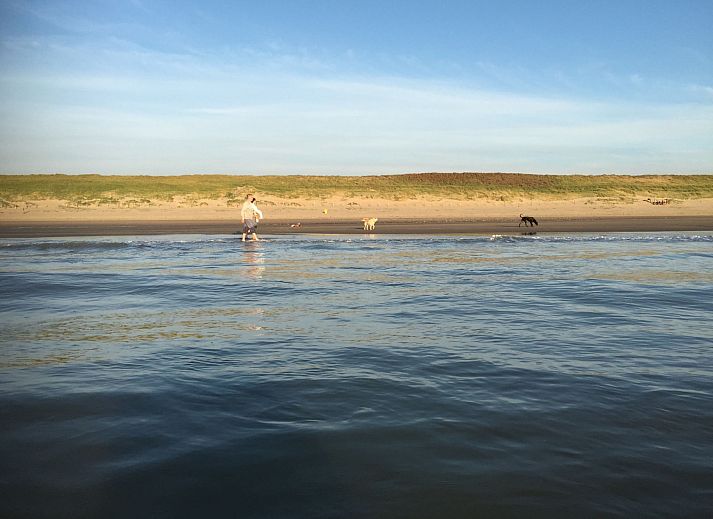 Unterkunft 451504 - Ferienhaus Noordzeekust - Vakantiehuis DD 45 - Camping de Duindoorn - AIRCO