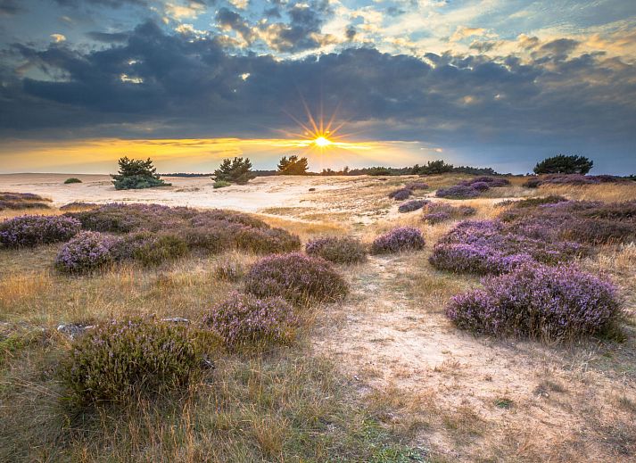 Unterkunft 451511 - Ferienhaus Noordzeekust - Vakantiehuis DD 58 - Camping de Duindoorn - AIRCO