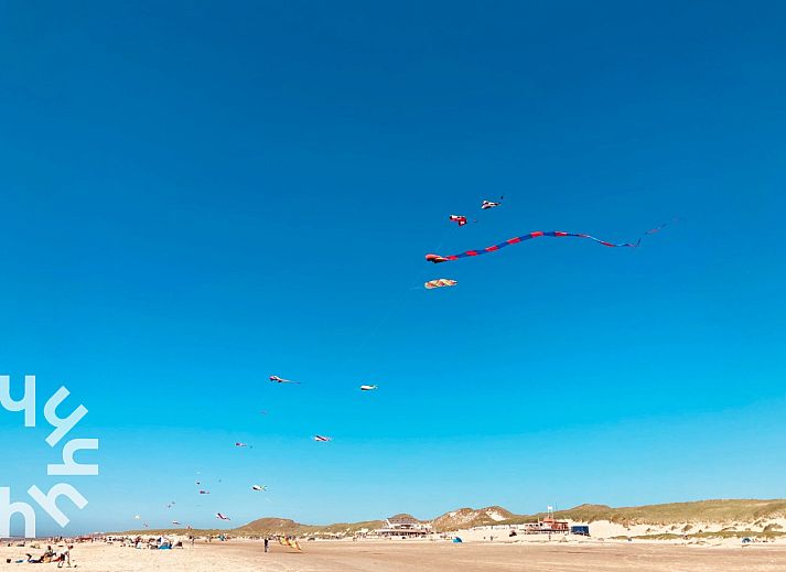 NH294 vakantiehuis in Schoorldam met kleurrijke tuin aan de Noordzeekust in Noord-Holland.