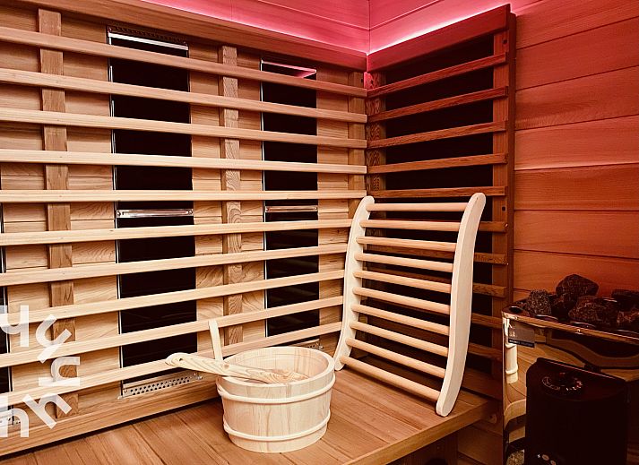 Bosrijke omgeving rond NH294 vakantiehuis in Schoorldam aan de Noordzeekust, Noord-Holland.