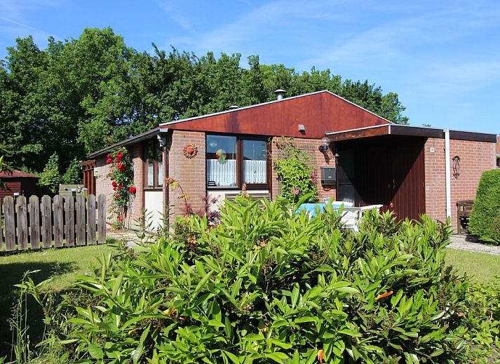 Unterkunft 451714 - Ferienhaus Noordzeekust - 43020