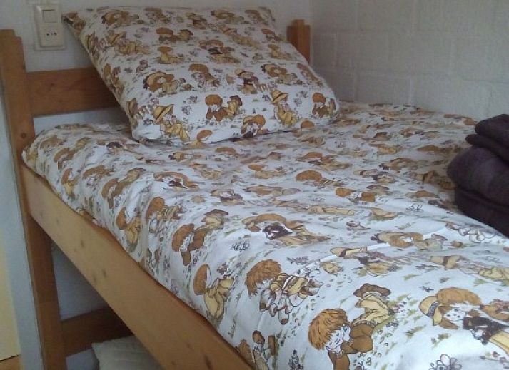 Groene tuin rondom Rekere 111 vakantiehuis in Schoorldam, Noordzeekust, Noord-Holland met schuur en bomen.