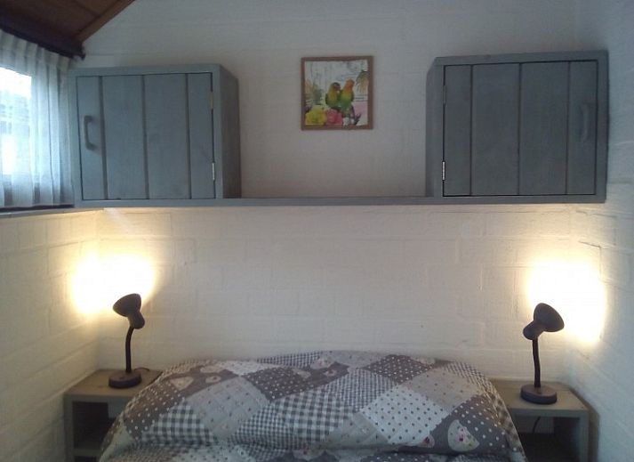 Groene tuin rondom Rekere 111 vakantiehuis in Schoorldam, Noordzeekust, Noord-Holland met schuur en bomen.