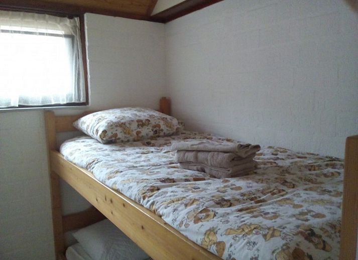 Groene tuin rondom Rekere 111 vakantiehuis in Schoorldam, Noordzeekust, Noord-Holland met schuur en bomen.