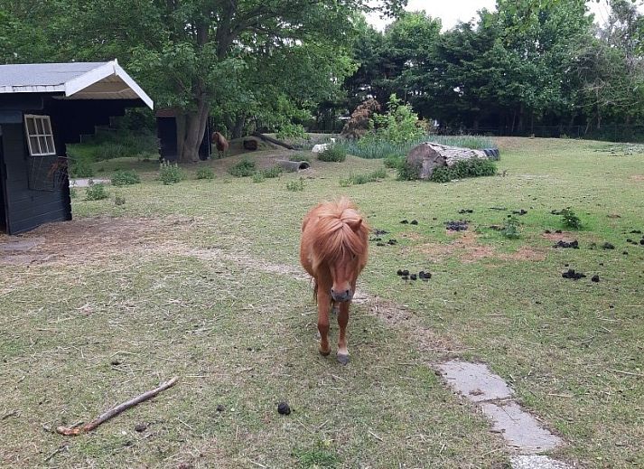 Gezellige woonkamer van Rekere 111 vakantiehuis in Schoorldam, Noordzeekust, Noord-Holland met comfortabele bank.