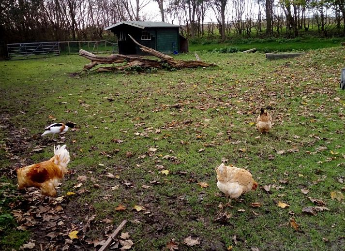 Gezellige woonkamer van Rekere 111 vakantiehuis in Schoorldam, Noordzeekust, Noord-Holland met comfortabele bank.
