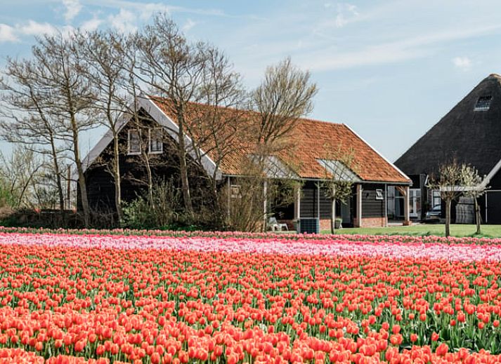 Guest house 452003 • Holiday property Noordzeekust • Vakantiehuis in Burgerbrug