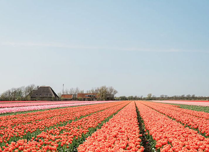 Unterkunft 452003 - Ferienhaus Noordzeekust - Vakantiehuis in Burgerbrug