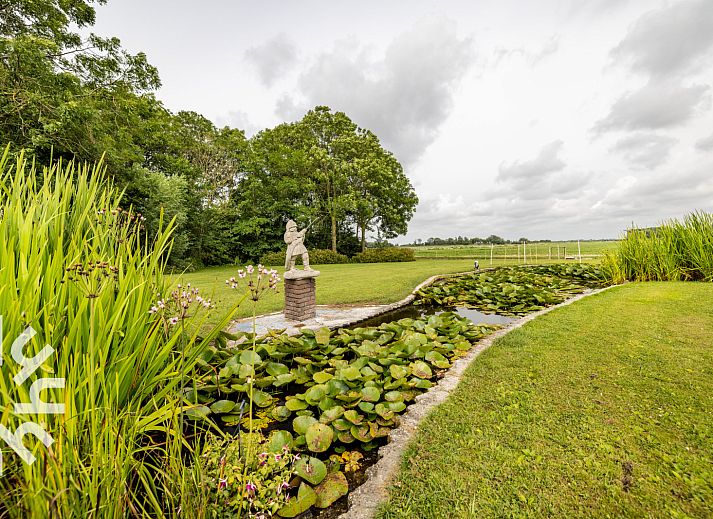 Guest house 452013 - Holiday property Noordzeekust - NH492