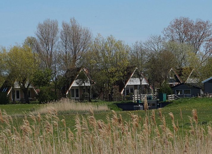 Unterkunft 452016 - Ferienhaus Noordzeekust - Vogelvrij 4