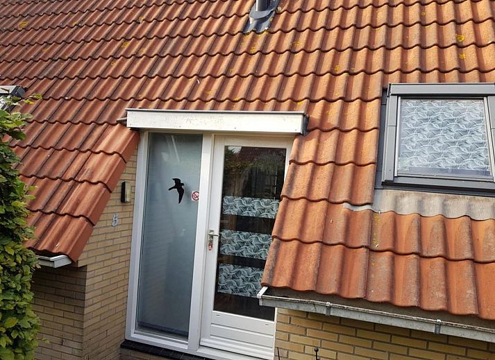 Unterkunft 452017 - Ferienhaus Noordzeekust - Vogelvrij 5
