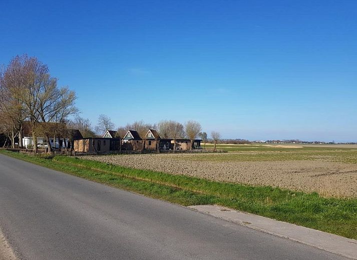 Unterkunft 452017 - Ferienhaus Noordzeekust - Vogelvrij 5