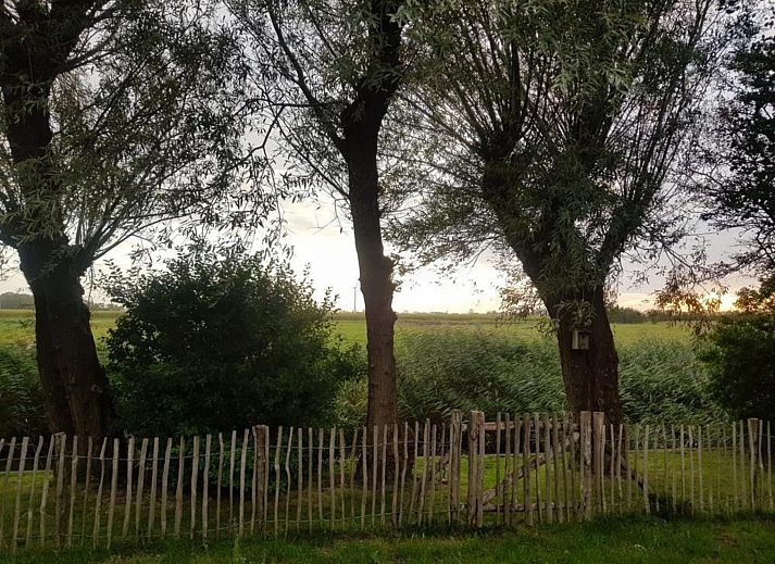 Unterkunft 452017 - Ferienhaus Noordzeekust - Vogelvrij 5