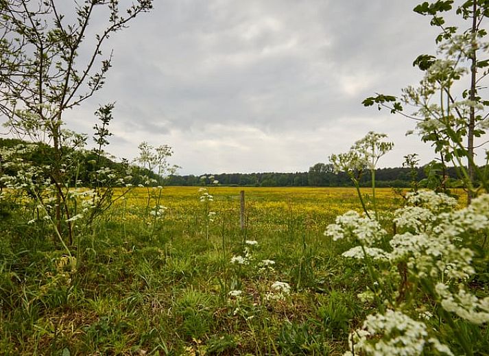 Cozy sitting area in Holiday home in Castricum on the North Sea coast, North Holland.