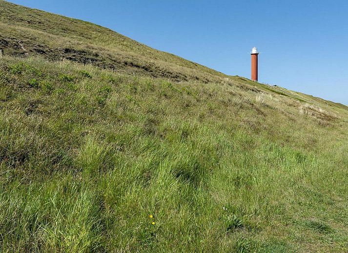 Unterkunft 452714 - Ferienhaus Noordzeekust - Strandleven 006